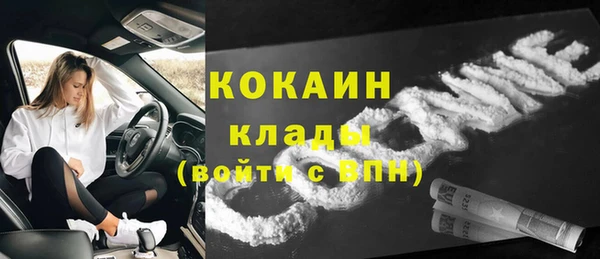 винт Нея