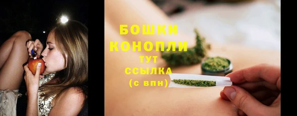 винт Нея