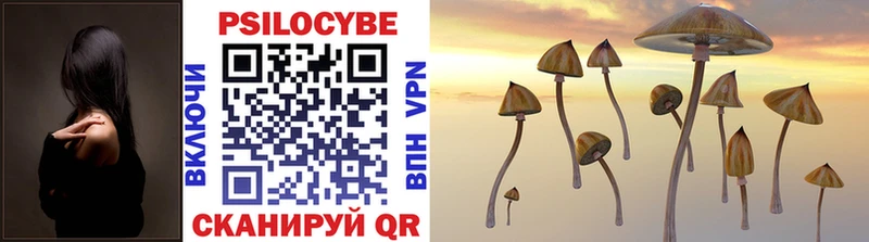 Псилоцибиновые грибы Psilocybe  наркота  Пугачёв 